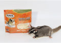 Exotic Nutrition Omega YUMS Fish Stick Treat for Sugar Gliders | All Natural Strips Made with Real Fish (0.6 oz)