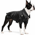 Lovelonglong Cool Dog Leather Jacket, Warm Coats Dogs Windproof Cold Weather Coats for Large Medium Small Dogs, Boston T