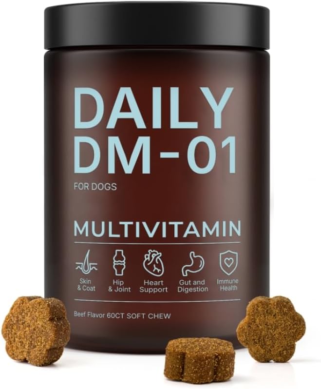 DM‑01 Daily Multivitamin for Dogs,12‑in‑1 Soft Chews,Beef Flavor,60 Count