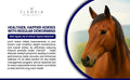 Horse Paste 10% – 4 Pack – 25g Syringes – Oral Deworming Paste for Horses of All Ages – Easy-to-Administer Equine Care