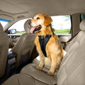 Kurgo Enhanced Strength Tru-Fit Smart Harness