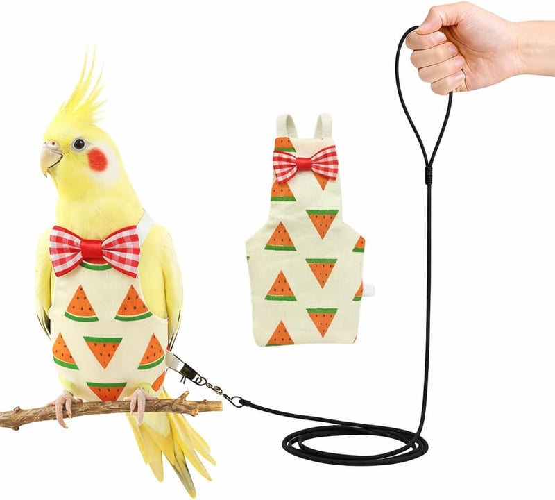 Cockatiel Conure Bird Diaper and Leash Set