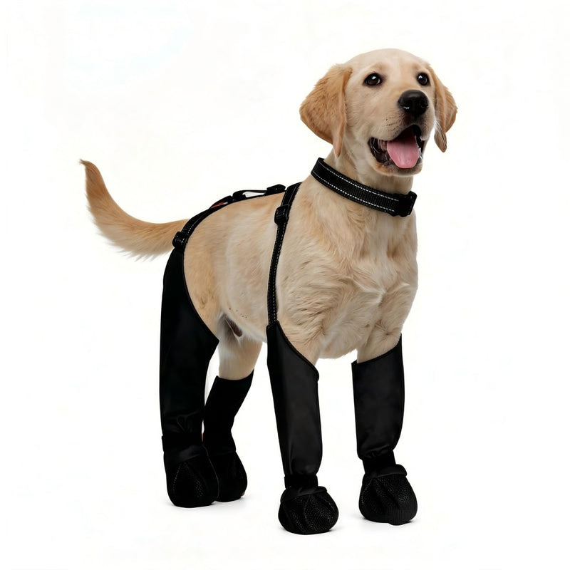 All-in-One Dog Suspender Boots for Small, Medium & Large Dogs – Waterproof Paw Protectors with Non-Slip Sole & Reflective Straps, Ideal for Rain, Snow, and Hiking (Black, L)