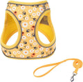 Step in Dog Harness and Leash Set, Pet Vest Harness, Bee XS