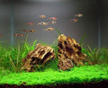 AWXZOM Natural Dragon Rock Carefully Selected Mixed Sizes, Decorative Aquarium Rocks, Aquarium Stones for Fish Tank (4.4
