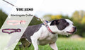 Martingale Collar for Dogs, No-Slip Escape Proof Choke No Pull Cinch Soft Nylon Dog Training Collars Adjustable for Smal