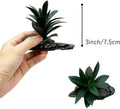 Reptile Artificial Plants Succulent Terrarium Decor Desert Rainforest Plant Lizard Beard Chameleon Gecko Snake Amphibiou