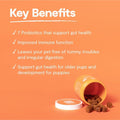 Open Farm Probiotic Chews, Dog Supplement, Dog Vitamins, Supports Normal Flora and Bowel Movement Using Traceable and Vet-Approved Ingredients, 12.7 oz, 90 Count
