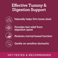 Vetality Stop The Runs | Dog Anti Diarrhea Medicine | 6 Count Chewable | Chicken Flavor