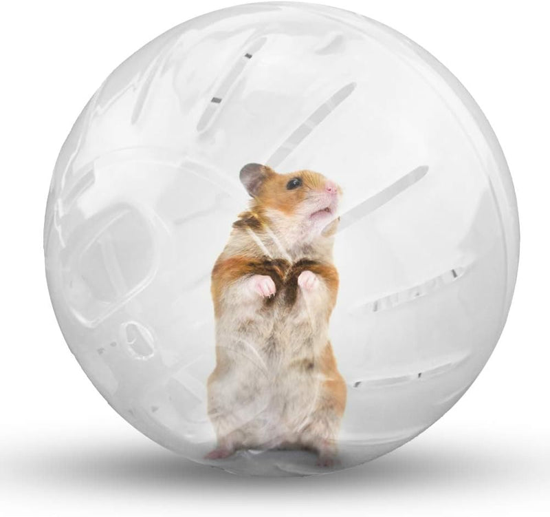 Hamster Exercise Ball Silent Hamster Wheel Small Animals Transparent Ball for Dwar Rat Relieves Boredom and Increases Ac