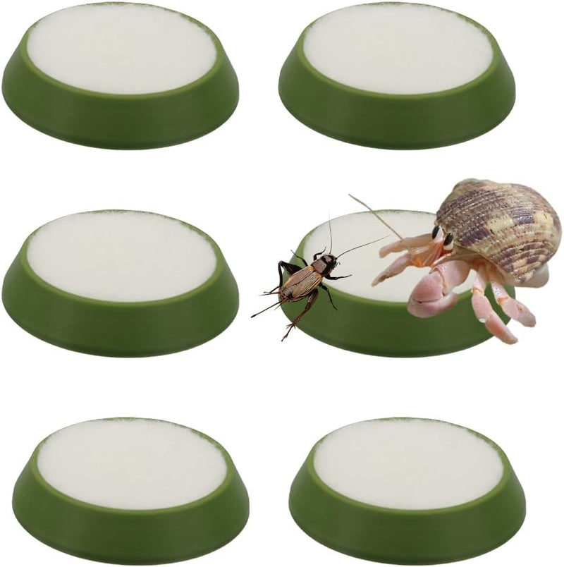 6 Pcs Cricket Water Bowl Plastic Reusable Feeding Dish Mini Bowl with 6 Pcs Sponge for Hermit Crab Cricket Scorpion Ant 