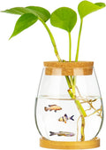 Desktop Fish Bowl Clear Glass Small Fish Tank with Wood Lid and Bamboo Stand for Betta Fish Plants Terrarium Home Office