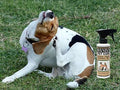 BANIXX Horse and Pet Care Spray for Horses, Dogs and Cats, Daily Skin and Coat Care Spray, Alcohol-Free, Non-Staining, N