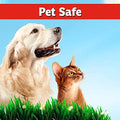 IMUSTGARDEN Dog & Cat Repellent: Stops Chewing, Natural, Pet Safe - 32oz