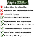 Exotic Nutrition Starter Package for Hedgehogs - Includes Exercise Wheel, Healthy Food, Natural Treat, Multi-Vitamin & H