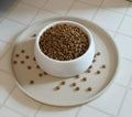 Arespark Pet Silicone Food Mat, 8in x 8in Nonslip Waterproof Feeding Bowl Mat with Raised Edges for Food and Water Preve