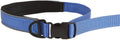 KONG Reflective Shock Absorbing Hands-Free Bungee Dog Leash 6' (Blue)
