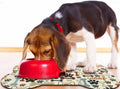 Dog Food Mats for Floors Waterproof, Pet Feeding Absorbent Water Bowl Mat Cat Placemats Beige Bone Shape 19 * 12 inch