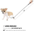 Dog Cat Urine Collector- Telescopic Handled Dog Pee Sample Catcher for Veterinary Supplies, Urine Stick for Small Large 