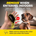 Dogtra GPS Dog Fence X2 & Training Flags Bundle | No Subscription, Wireless Custom Fence with App, Neon Orange Markers, 