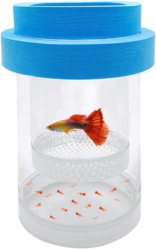Floating Fish Breeding Isolation Box for Aquarium Tank Plastic Mesh Hatchery Incubator Breeder Box for Baby Fish Betta S
