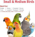 Small Bird Travel Carrier, Portable Bird Travel Cage for Parakeet, Parrot, Budgie, Guinea Pig, Bearded Dragon Reptile Carrier for Hiking Vet Visit Bicycle Ride (Grey)