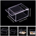 Insect breeding Box Reptile Feeding Box, Waterproof Enclosure Enclosure for arboreal Tarantula Scorpion Sling Lizards Sn
