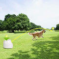 ALL FOR PAWS Automatic Ball Launcher for Dogs Interactive Puppy Pet Ball Indoor Thrower Fetch Machine, 3 Balls Included 
