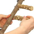 Bird Ladder Perch Cage Nature Wood Stand Parrot Chew Toy for Small Medium Parrot Animal (M) (Bird Ladder)