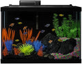 GloFish 20 Gallon Complete Fish Tank Kit