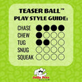 Jolly Pets Teaser Ball Interactive Dog Toy, 8 in Large
