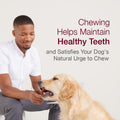SmartBones Smart Twist Sticks, Rawhide Free Dog Chew Sticks, Made With Real Chicken, 50 Sticks