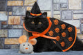 Halloween Cat Costume Cloak Witch Hat Pet Accessories Halloween Adjustable Pumpkin Pet Costumes Clothes Set, Halloween p