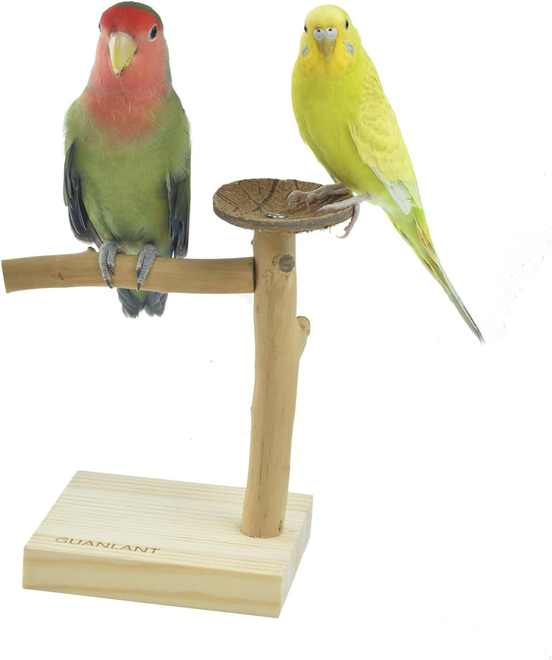 Wood Bird Stands Feeder Toys, Tabletop Portable Training Parrots Perch