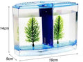 EatingBiting Large Double Compartment Fighting Fish Box Eco Rumble Fish Aquarium Mini Aquarium Plastic Isolation Box Bre