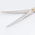 Diane Curved Point-Tip Pet Shear, 6.5-Inch Stainless Steel Hair Cutting Scissors for Precision Trimming, Facial Hair, Paws, Tail, and Sensitive Areas, Lightweight with Non-Slip Grip