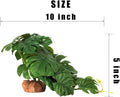 Fake Monstera Reptile Terrarium Plants for Ball Python Snake Gecko