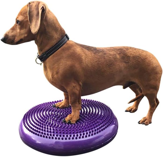 DEZAL Dog Balance Disc 14
