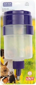 Purple (Pack of 1)/16 Ounce