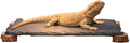 Bearded Dragon Basking Platform, Slate Rocks for Reptiles with Wooden Pile