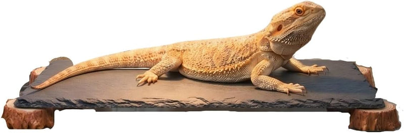 Bearded Dragon Basking Platform, Slate Rocks for Reptiles with Wooden Pile