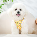 Step in Dog Harness and Leash Set, Pet Vest Harness, Bee XS