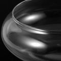POPETPOP 5.90 Inch Clear Glass Fish Bowl Round Hydroponic Planter Vase for Daffodils Succulents Aquatic Plants Decorativ