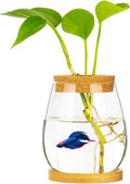 Desktop Fish Bowl Clear Glass Small Fish Tank with Wood Lid and Bamboo Stand for Betta Fish Plants Terrarium Home Office