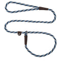 Mendota Pet Slip Leash - Dog Lead and Collar Combo - Made in The USA - Arctic Blue, 3/8 in x 6 ft - for Small/Medium Breeds