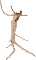 emours Natural Spider Wood Driftwood Vine Branches Reptiles Aquarium Decoration Assorted Sizes,Small,4 Pieces