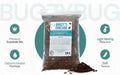BugzyBug’s Isopod Bioactive Substrate Mix Nutrient-Rich Vivariums and Terrarium Substrate Mix (4 Quart)