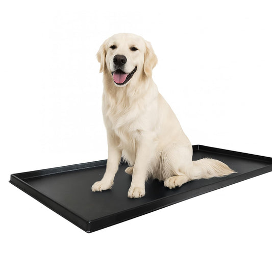 DoggieLawn XL Tray - Heavy Duty 4ft x 2ft Dog Potty Holder - Washable Reusable Floor Protection - Indoor/Outdoor Training Tray for Large Dogs