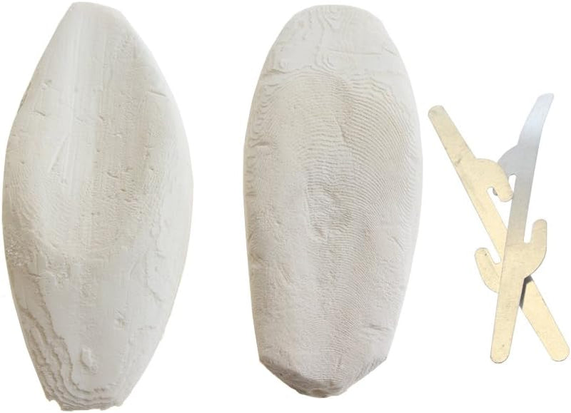 emours Natural Cuttlefish Bone for Reptiles, Tortoises, Snails, Birds and Small Animals, 4-5 inch, Twin Pack