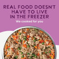 Health Extension Gently Cooked Chicken & Pumpkin Dog Food, Human-Grade & Shelf-Stable with Superfoods, Supports Digestio